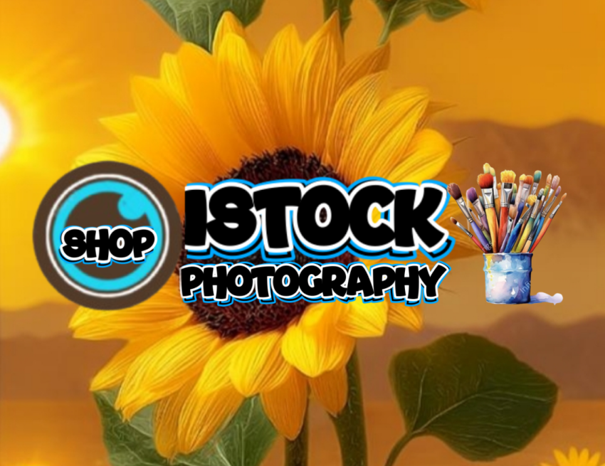 Golden Sunflower in Sunset Glow * Sunflower Bathed in Warm Light