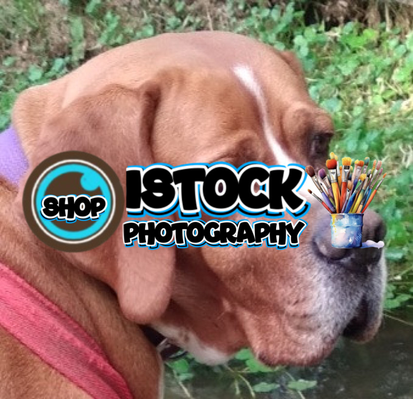 Screenshot 20260405 220328 Gallery