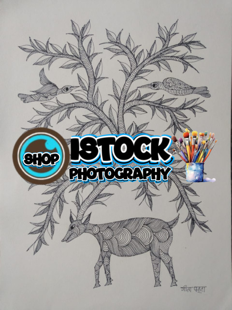 deer walking in forest