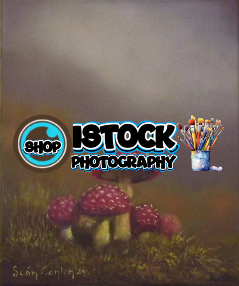 Mushrooms in the mist