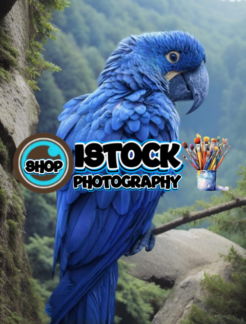 A blue macaw perched on a tree branch