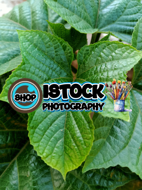 IMG20231002151251