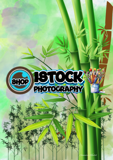 Bamboo Plant